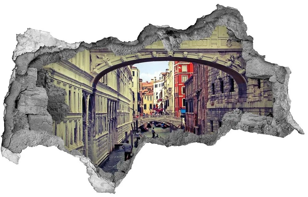 Fototapeta diera na stenu 3D Venice italy nd-b-70942066