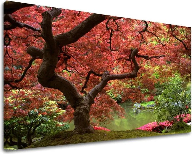 Obraz na stenu STROMY ST001E11