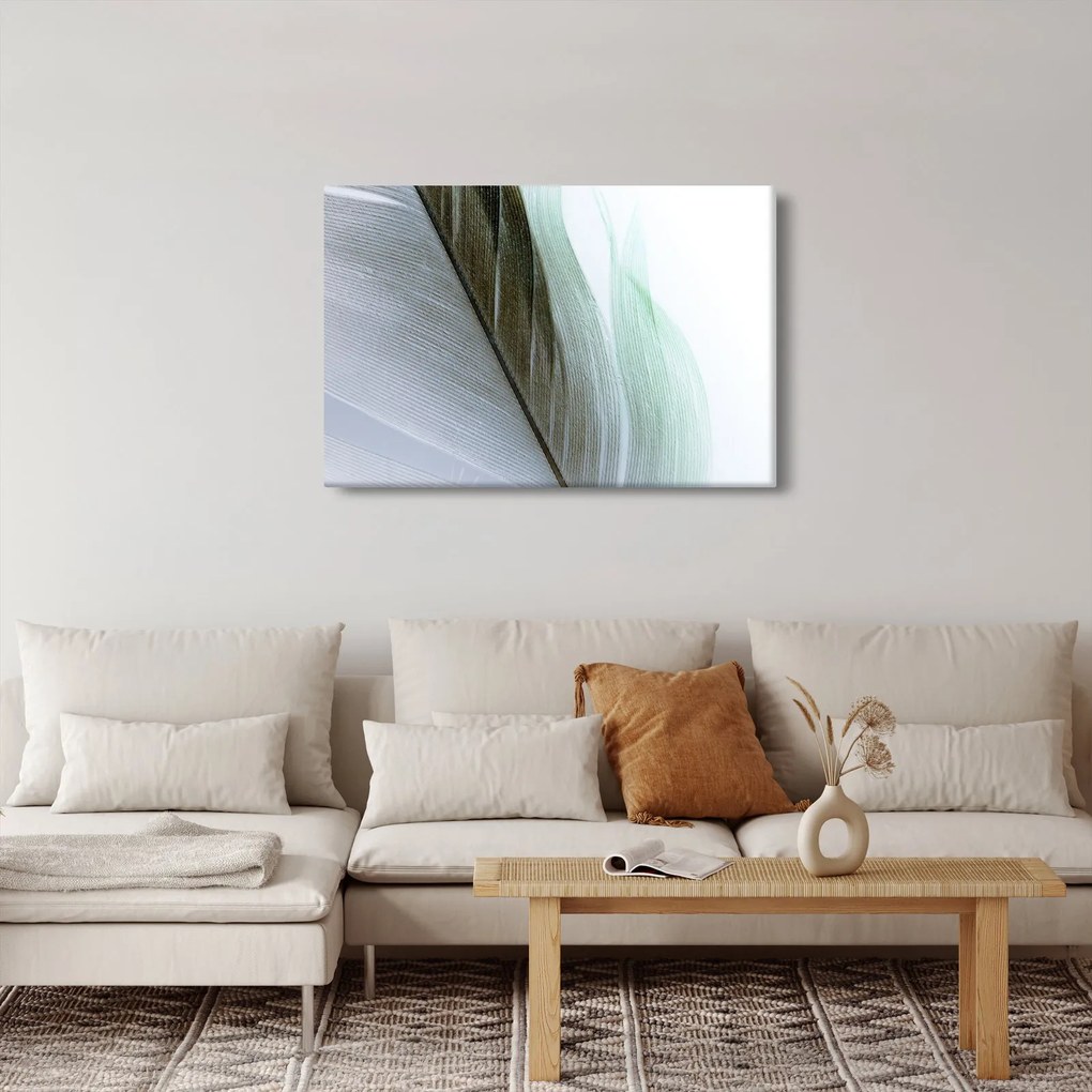 Obraz - Perie, makro (90x60 cm)