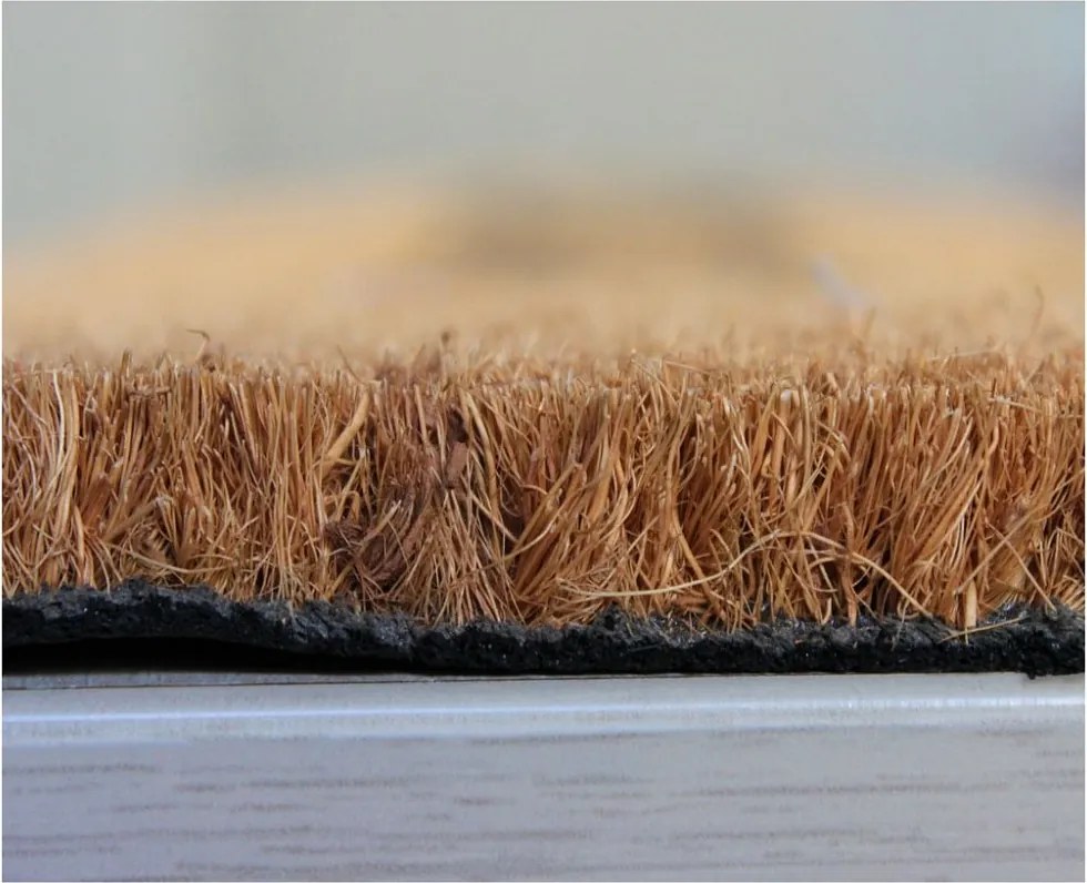 Home Elements Rohožka Sliepočky