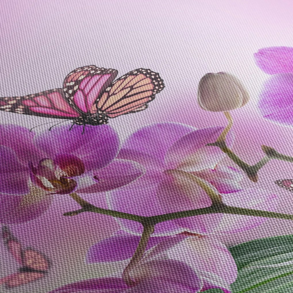Obraz - Motýľ na kvetoch orchidey, lila (90x60 cm)