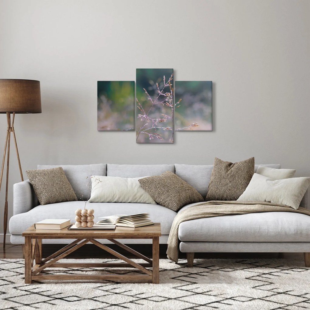 Obraz - Detail traviny (90x60 cm)