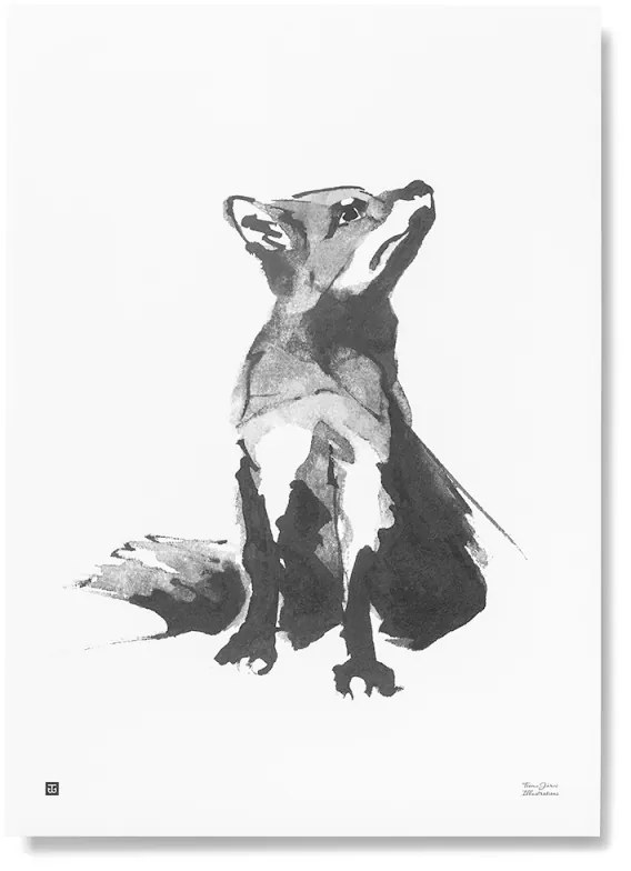 Plagát Red Fox 50x70