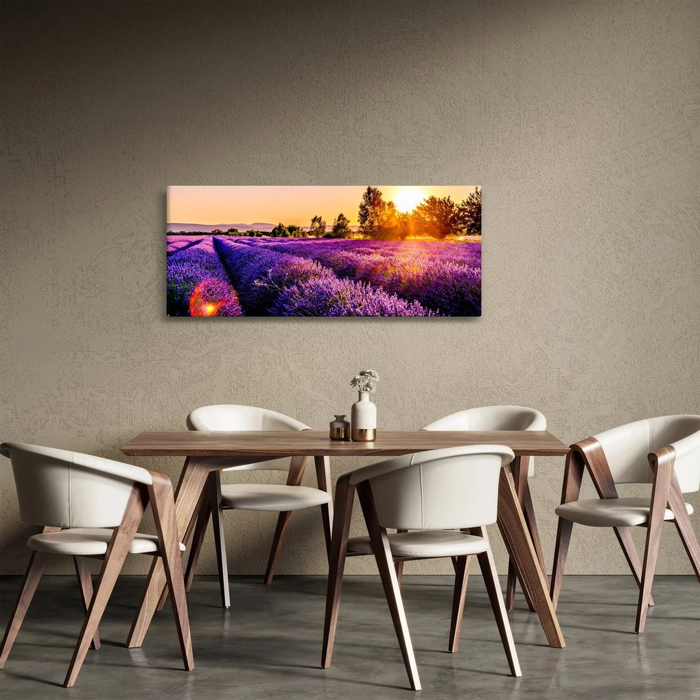 Obraz levanduľového poľa (120x50 cm)