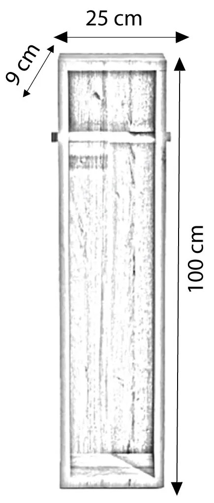 Braunschweig L2041