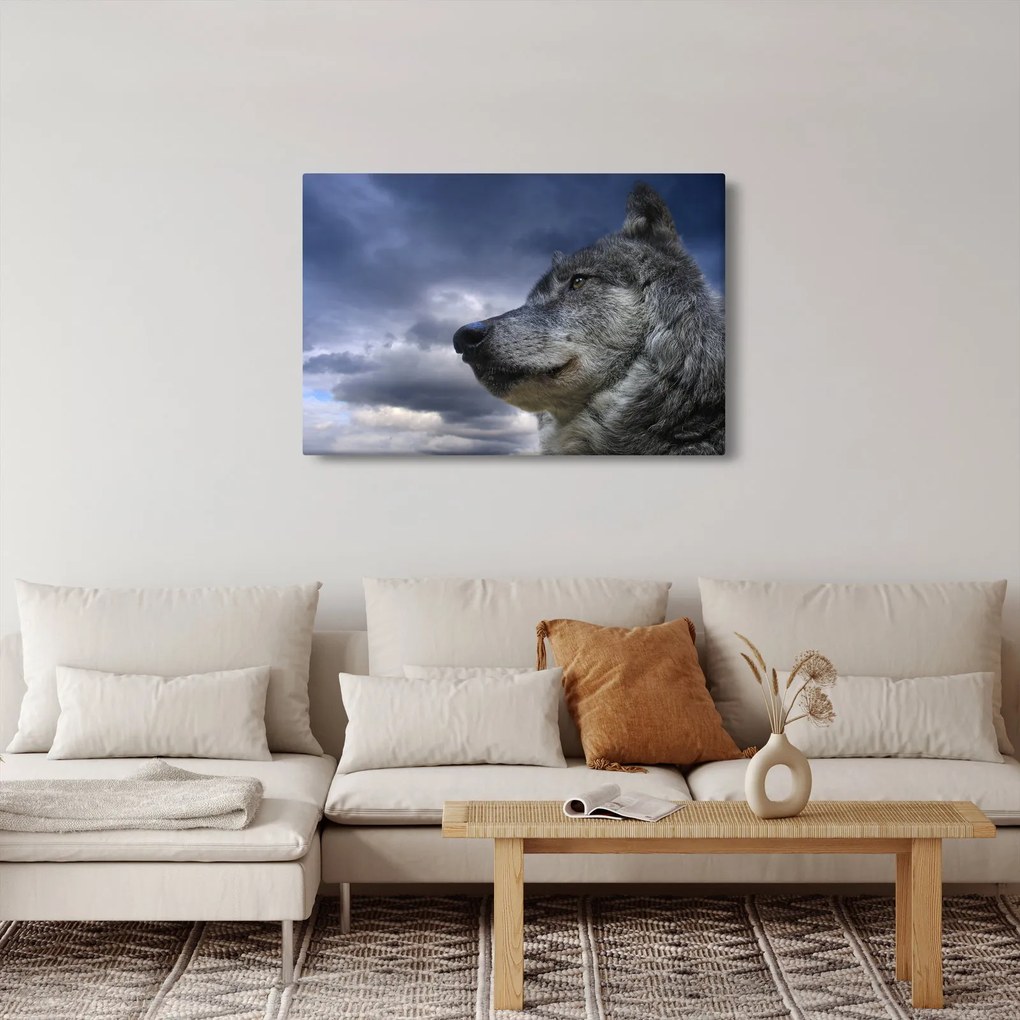 Obraz - Vlčia hlava (90x60 cm)