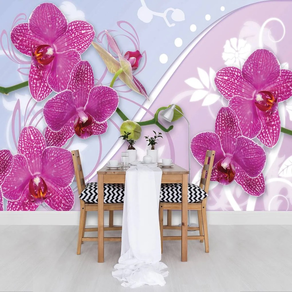 Fototapeta - Orchidea (152,5x104 cm)