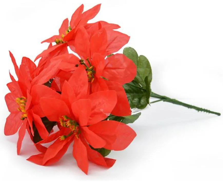 Betlehemská hviezda kytica