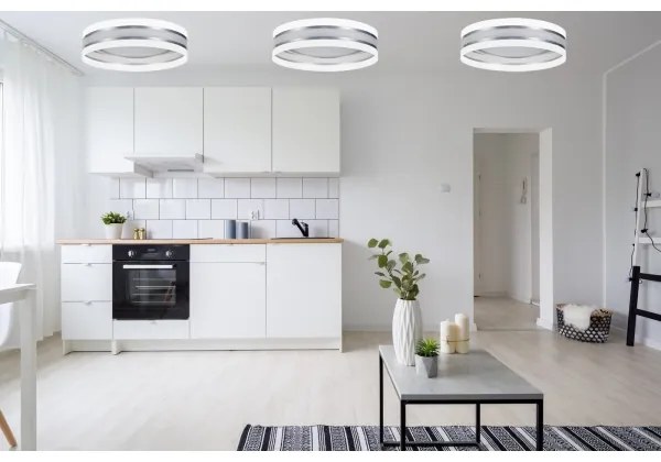 LED Stmievateľné stropné svietidlo SMART CORAL LED/24W/230V biela/strieborná + DO