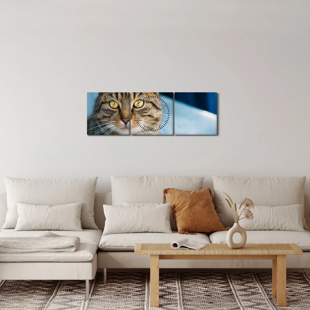 Obraz - Mačka domáca (s hodinami) (90x30 cm)