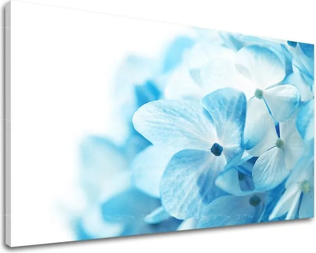 Obraz na stenu KVETY XOBKV127E11 - 80x120 cm