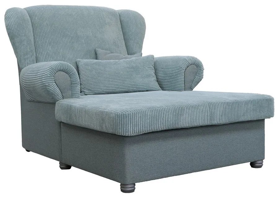 Sivomodrá menčestrová leňoška Lord – Ropez