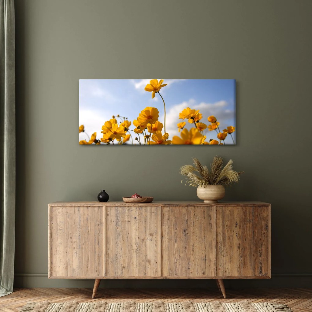 Obraz poľa s jasne žltými kvetmi (120x50 cm)