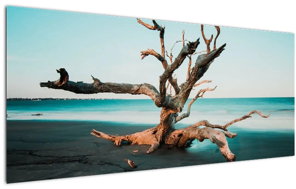 Obraz - Vyplavenie na pláži (120x50 cm)