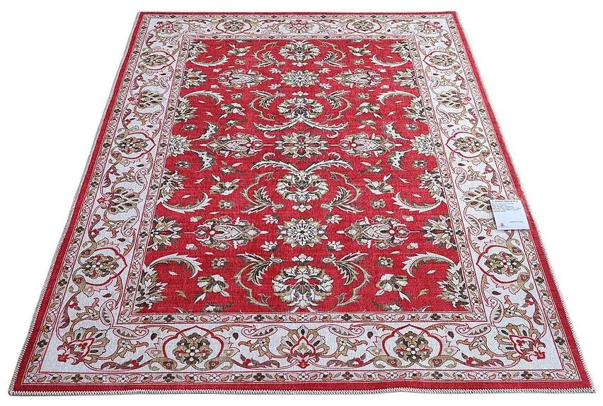 Koberec Champion 0,8/1,5 Hj1037-24f