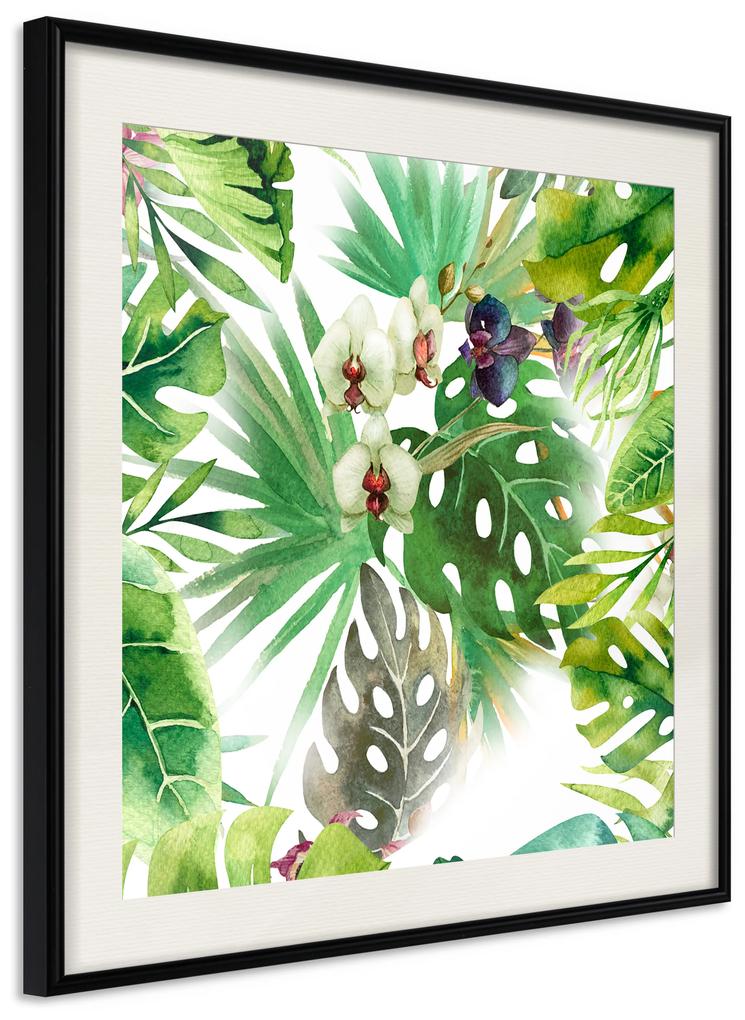 Artgeist Plagát - Tropical Shadow (Square) [Poster] Veľkosť: 20x20, Verzia: Čierny rám s passe-partout