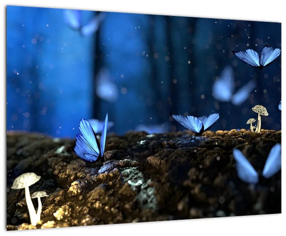 Obraz - modrí motýle