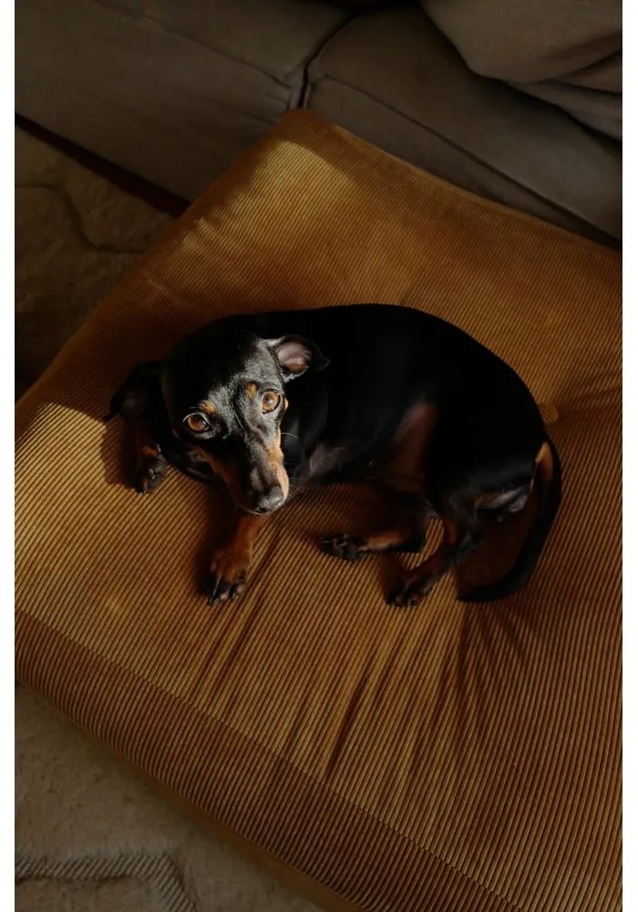 Sedací puf Karup Design More Olive Green