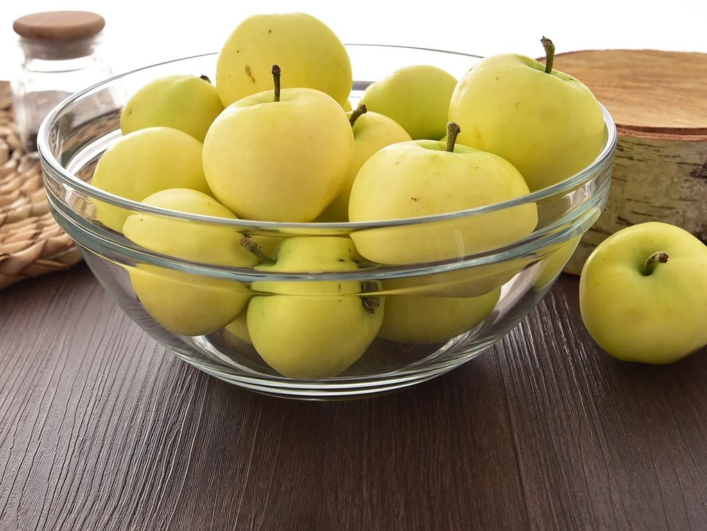 Misa okrúhla CHEFS, priemer 23 cm, 12 ks