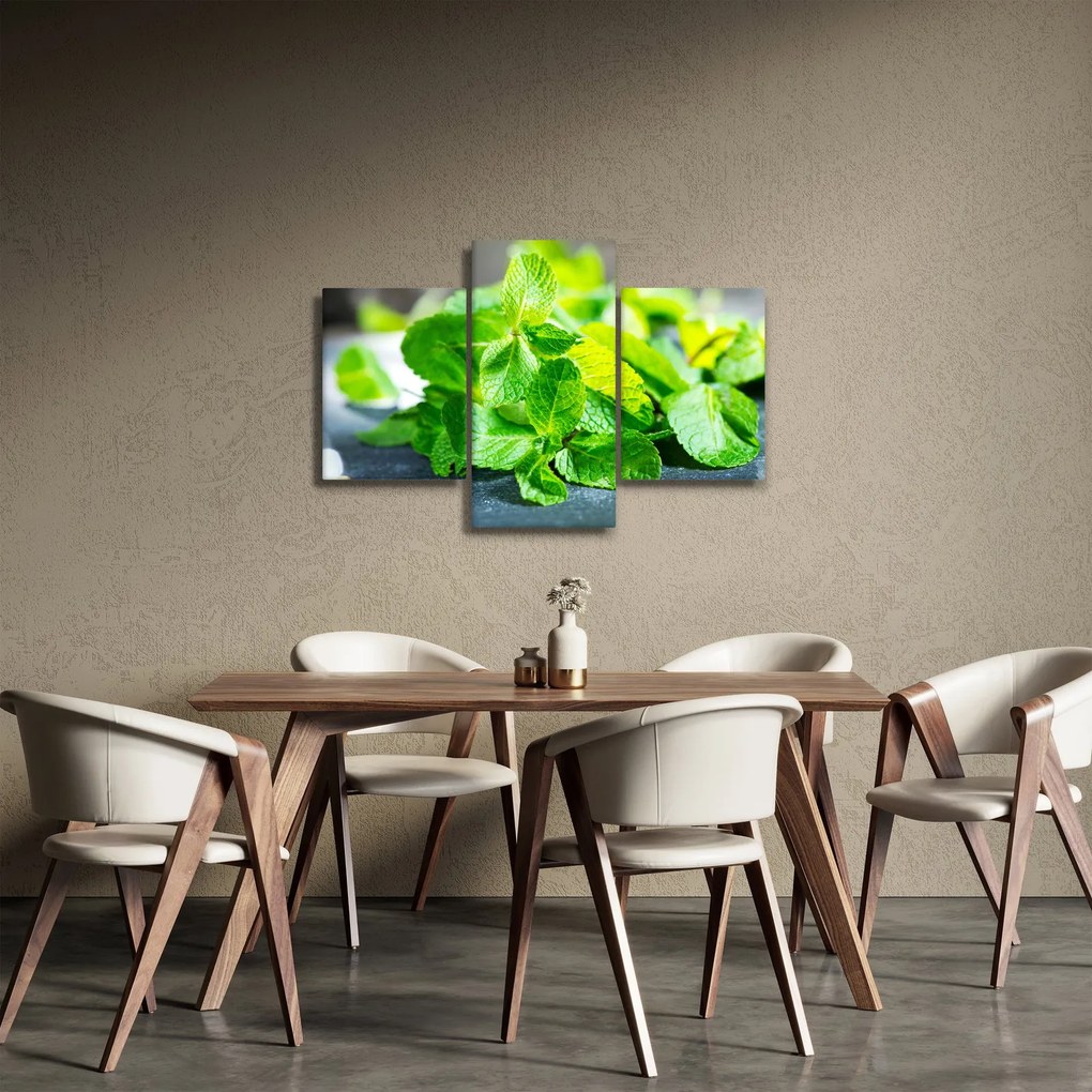 Obraz mäty (90x60 cm)