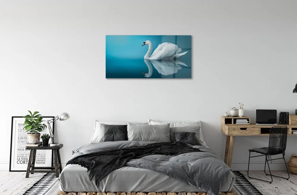 Sklenený obraz Swan vo vode 100x50 cm