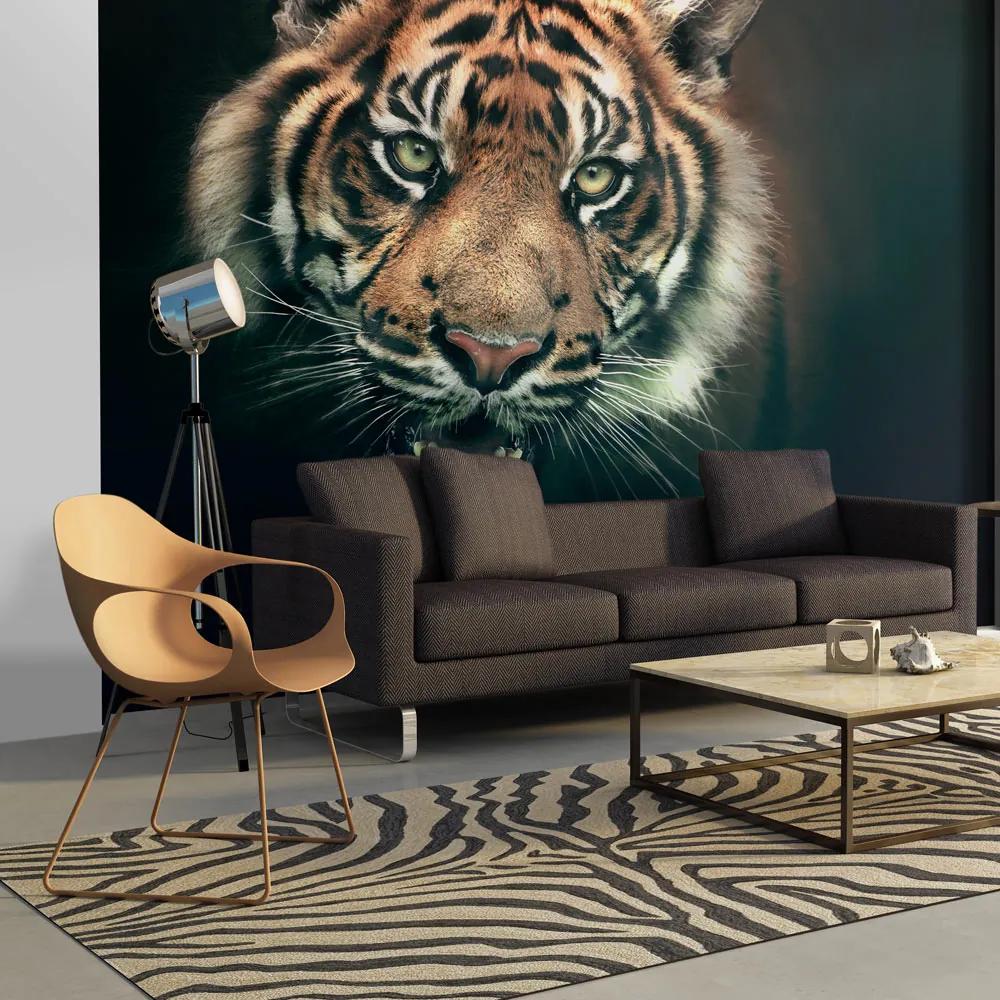 Artgeist Fototapeta - Bengal Tiger Veľkosť: 200x154, Verzia: Premium