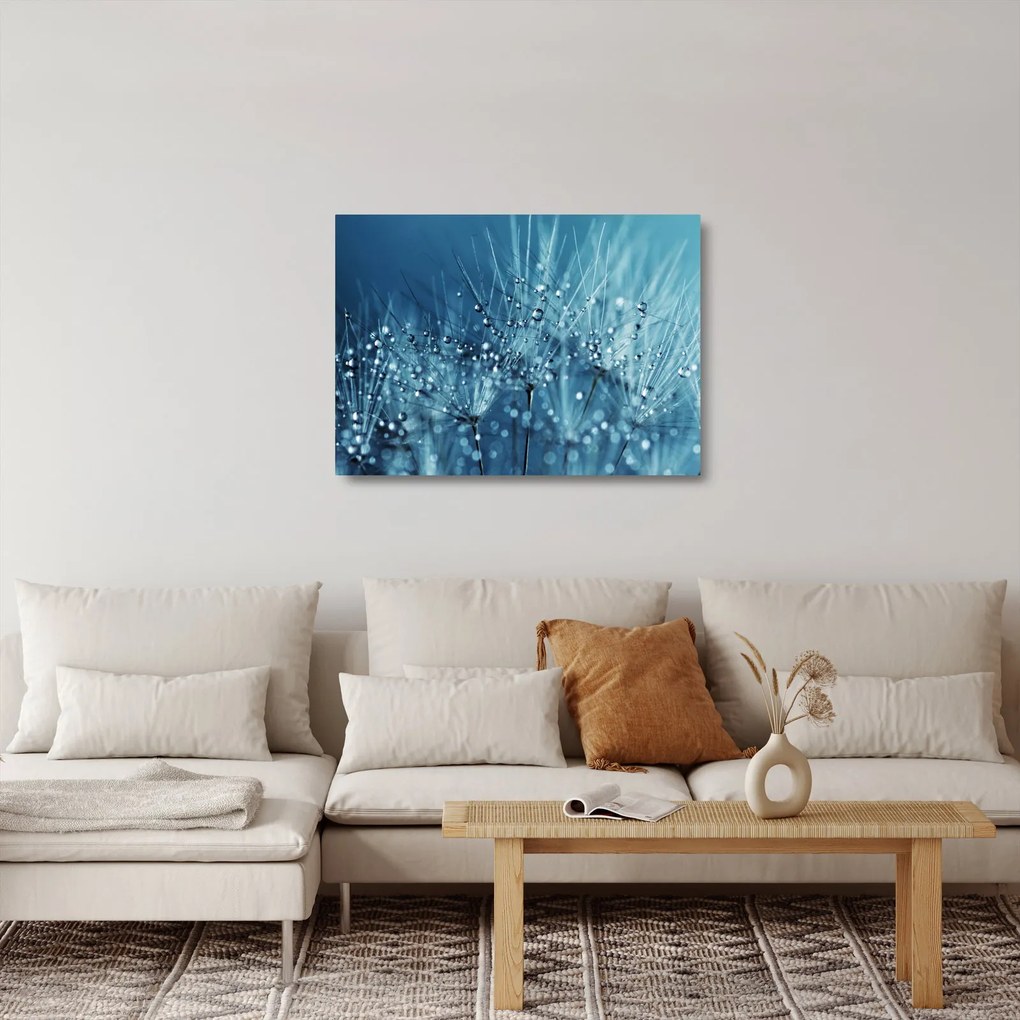 Sklenený obraz - Kvapky rosy (70x50 cm)