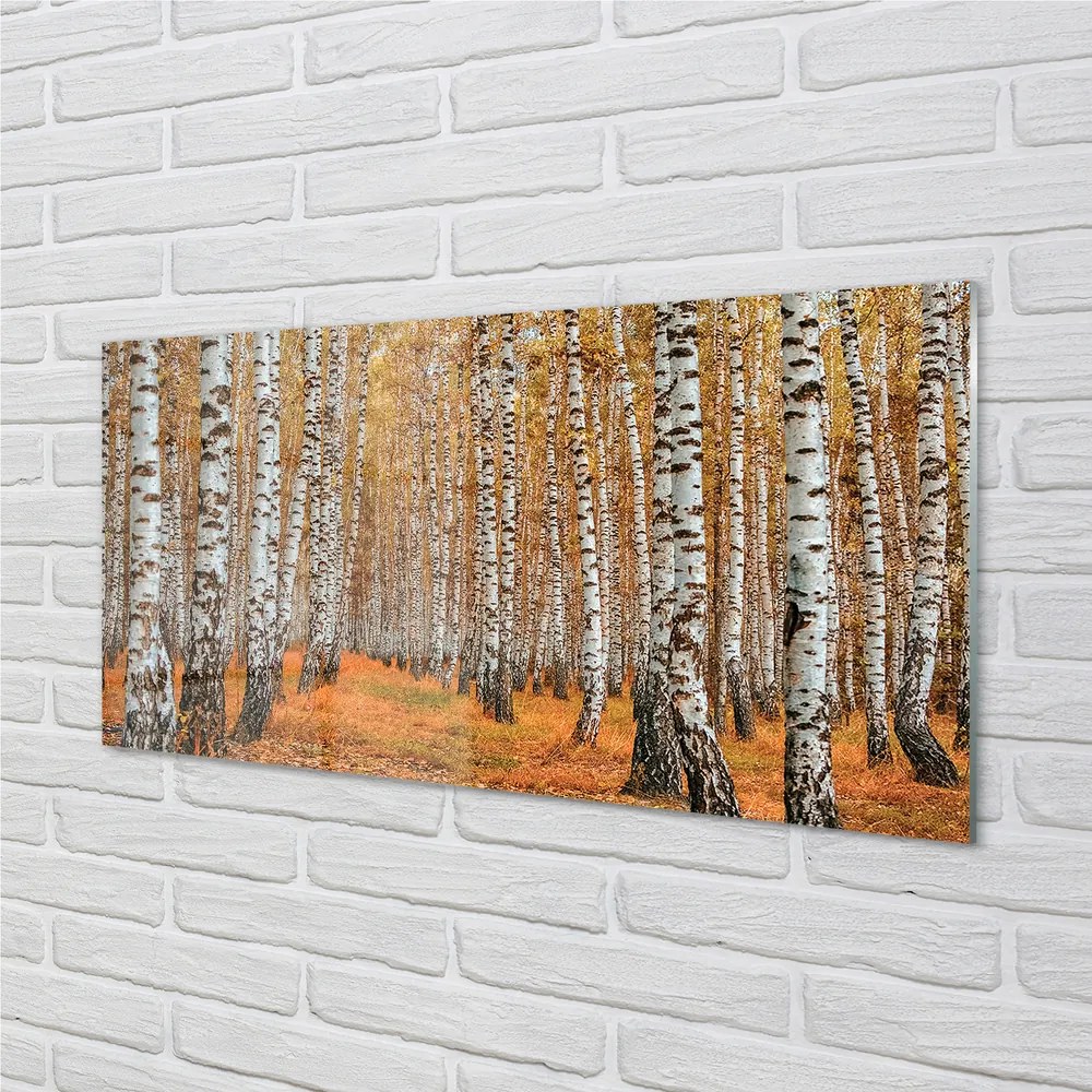 Nástenný panel  jesenné stromy 120x60 cm