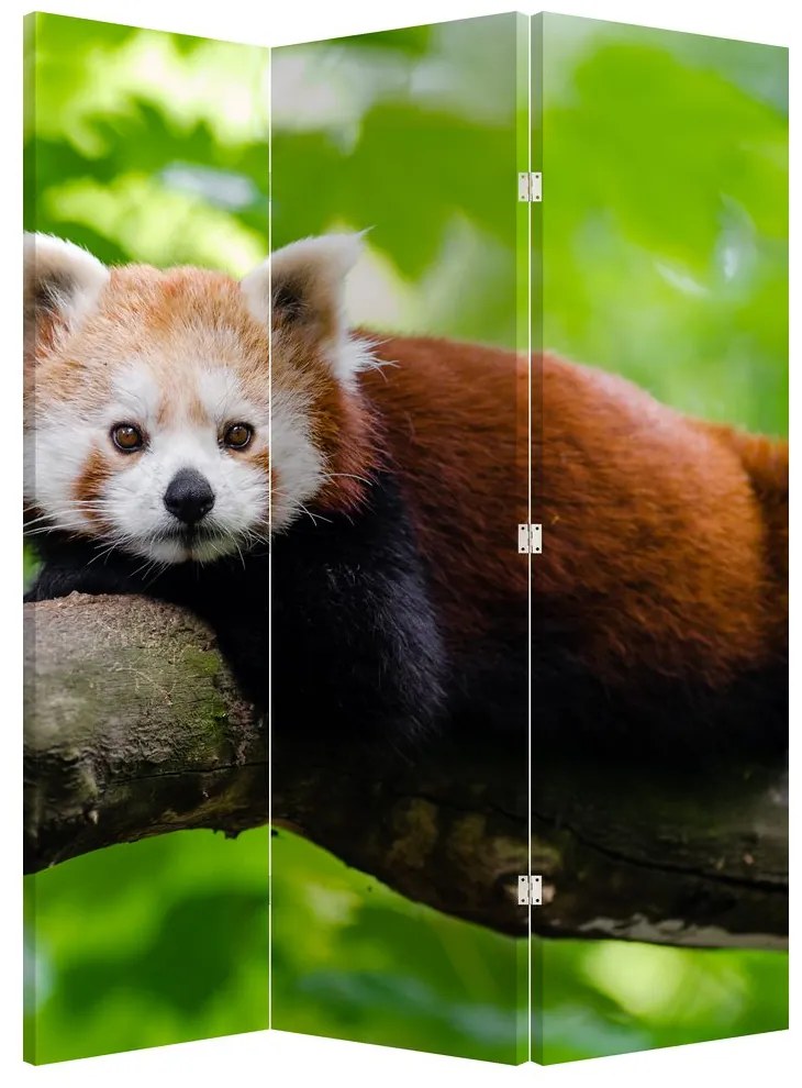 Paraván - Panda červená (126x170 cm)