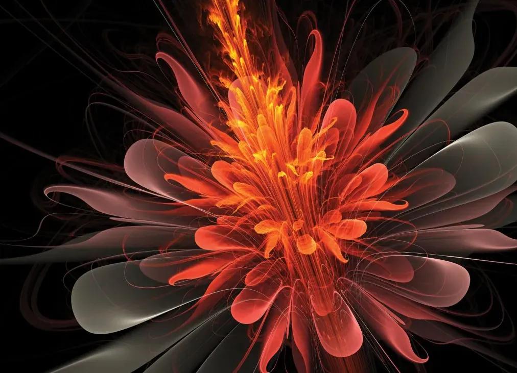 Manufakturer -  Tapeta fiery flower