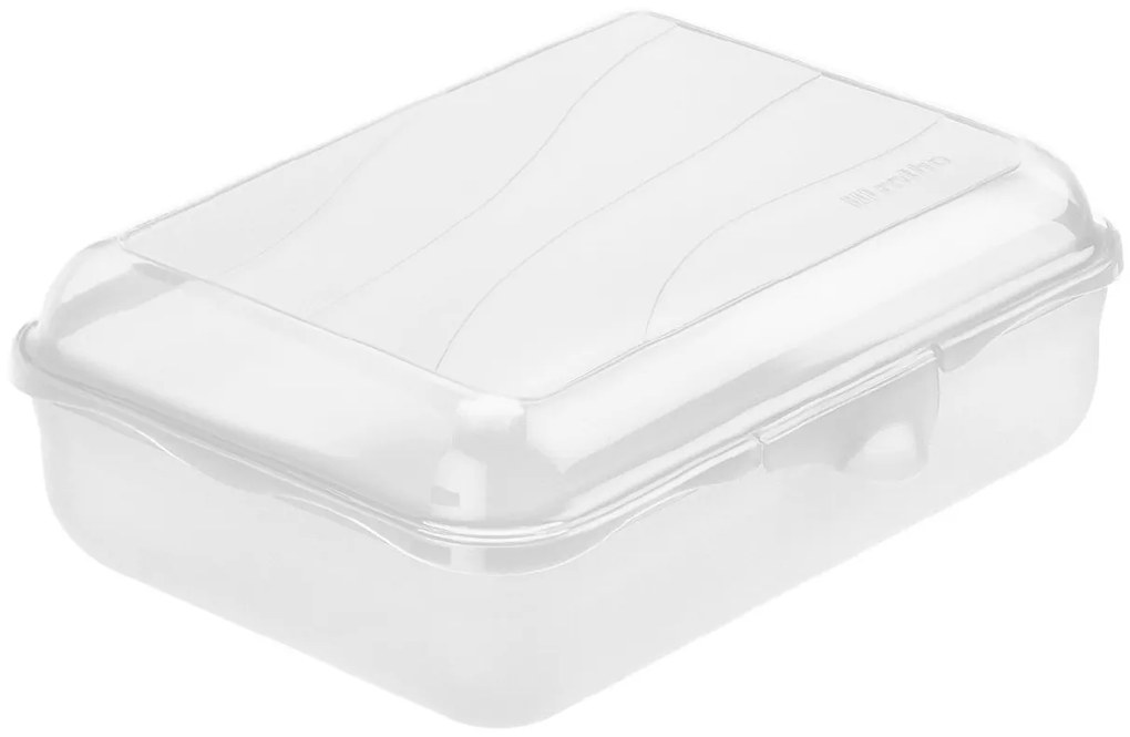 Rotho Svačinový box, do školy i na cesty, FUNBOX, 1,25l