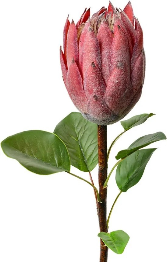 Ružová umelá dekorácia kvetina Protea - 10*10*65 cm