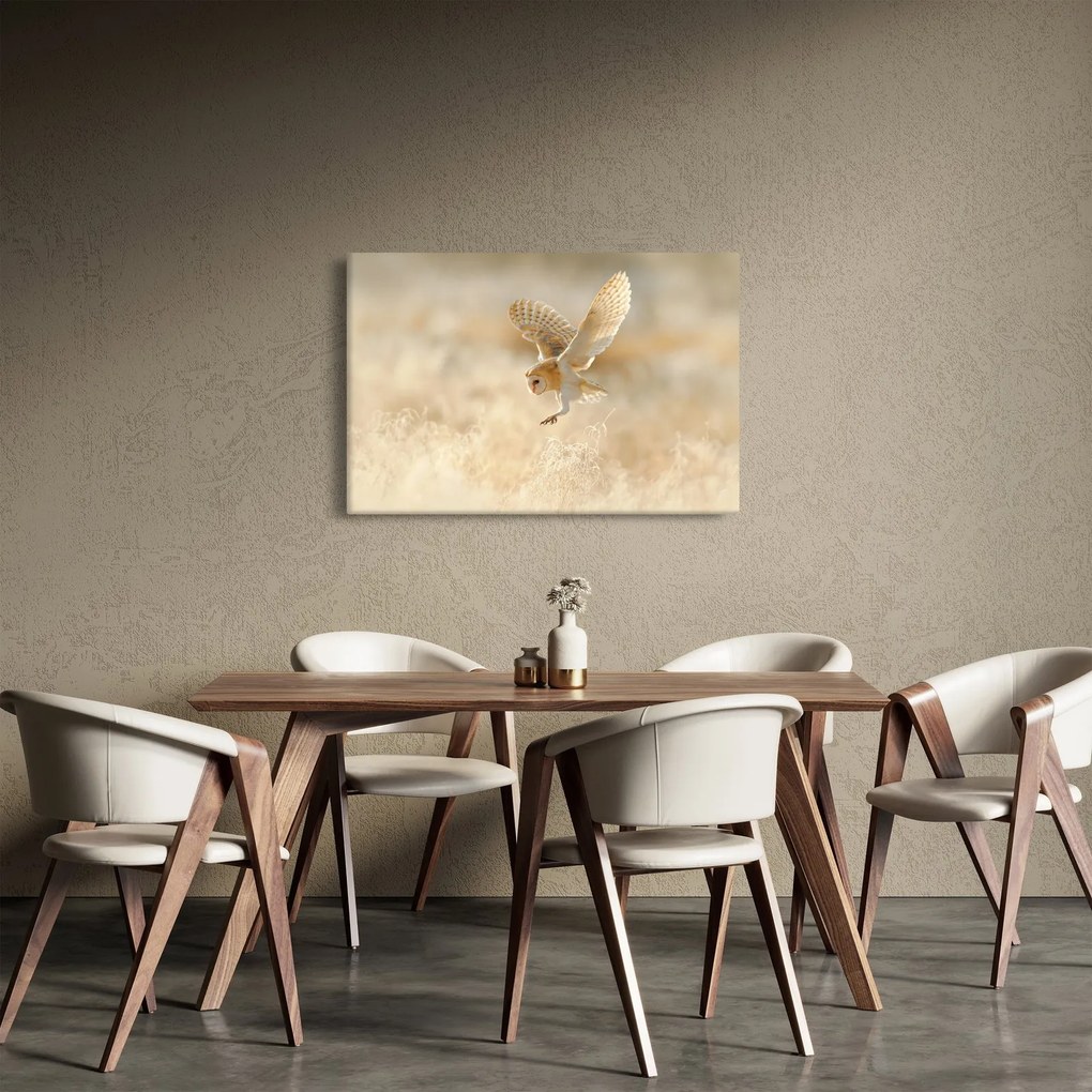Obraz - Sova (90x60 cm)
