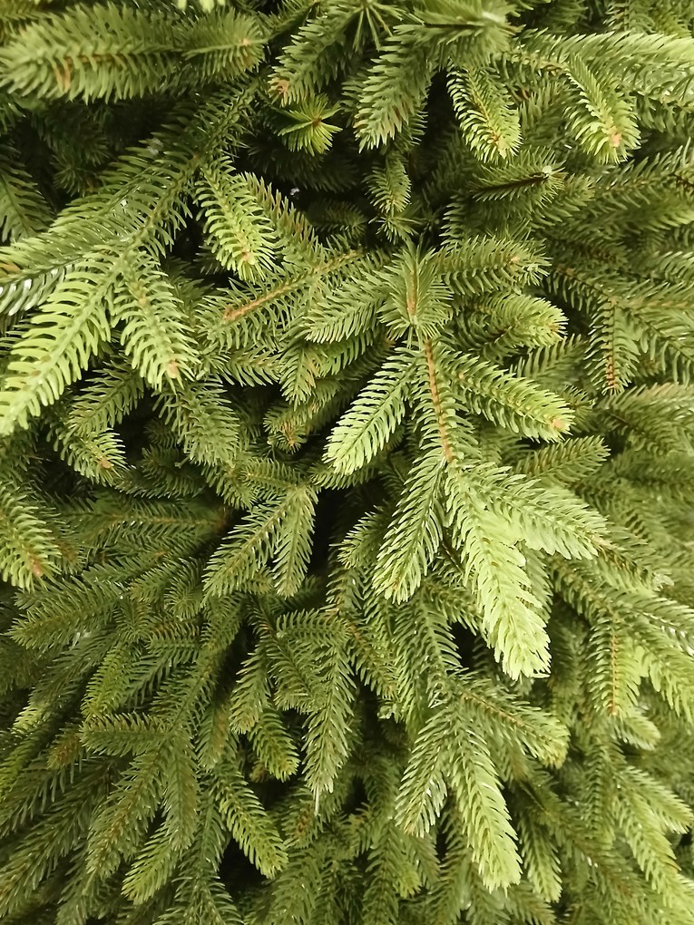 Vianočný stromček 100% 3D- Jedľa premium 210cm