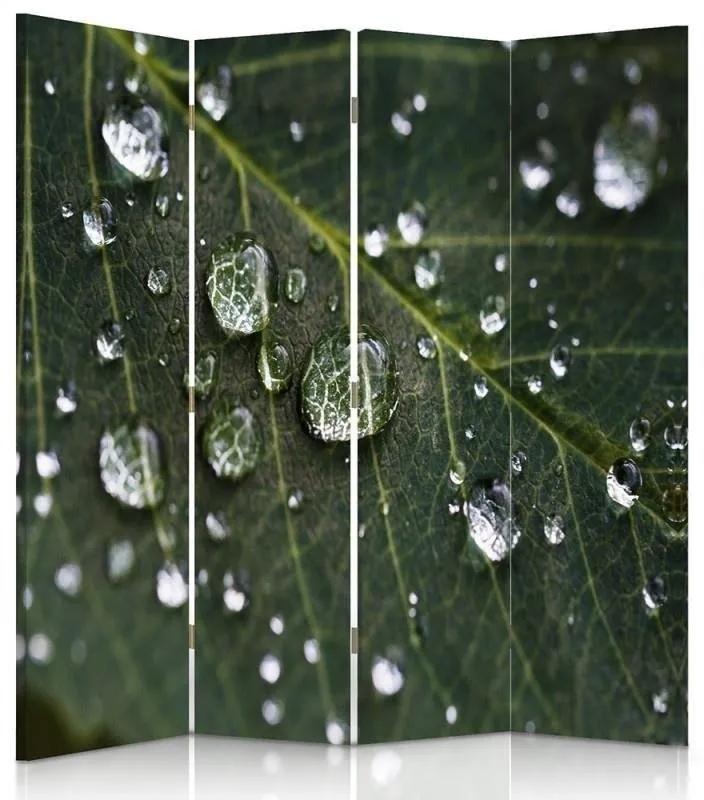 Ozdobný paraván Zelené listy kapky vody - 145x170 cm, štvordielny, obojstranný paraván 360°
