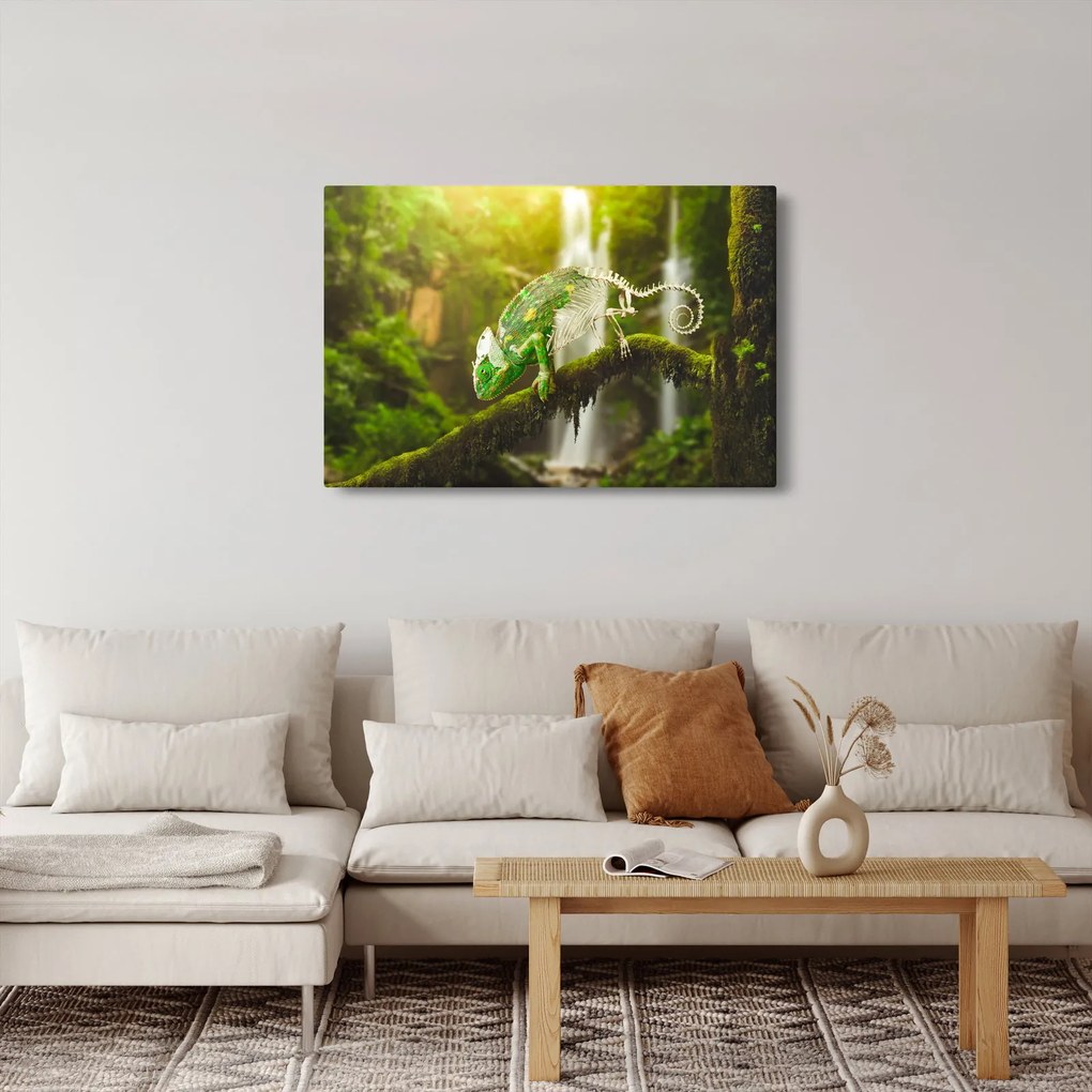 Obraz chameleóna (90x60 cm)