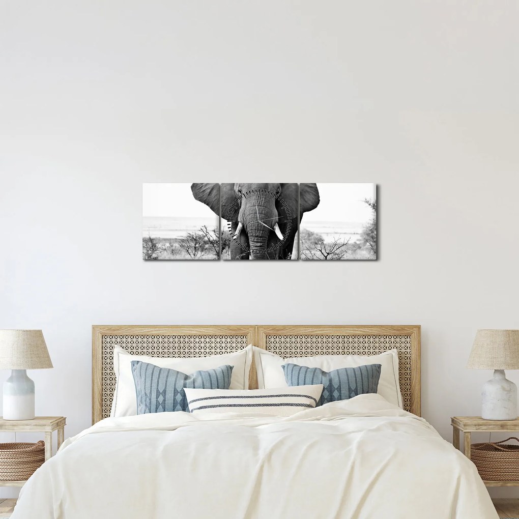 Obraz - Slon africký II. (s hodinami) (90x30 cm)