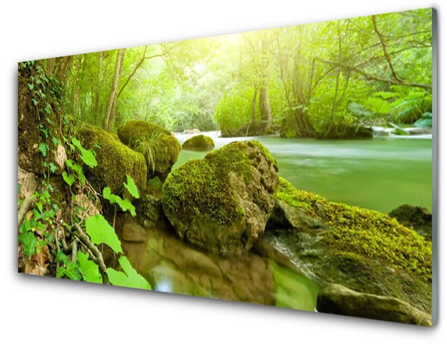 Obraz plexi Jazero kamene príroda 100x50 cm