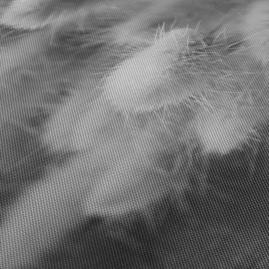 Obraz - bunny tail grass na stole (90x60 cm)