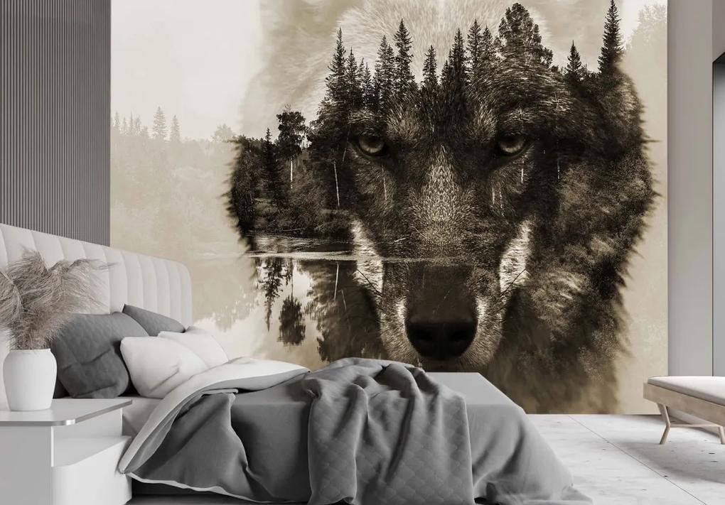 Fototapeta, Vlk lesní zvíře v mlze - 200x140 cm
