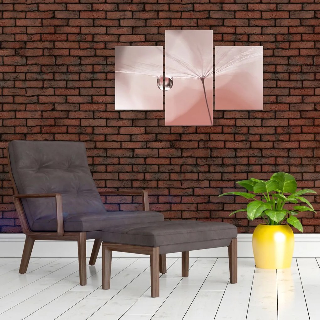 Obraz - Kvapka rosy (90x60 cm)