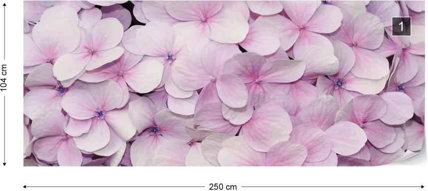 Fototapeta GLIX - Pastel Flowers Purple + lepidlo ZADARMO Vliesová tapeta  - 250x104 cm