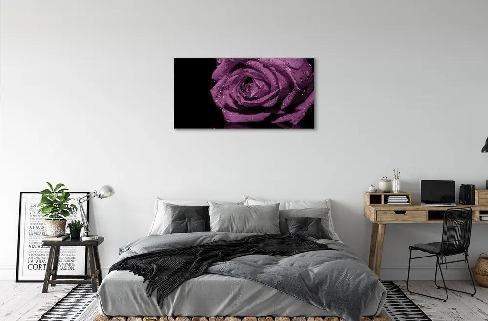 Obraz canvas purpurová ruža 120x60 cm
