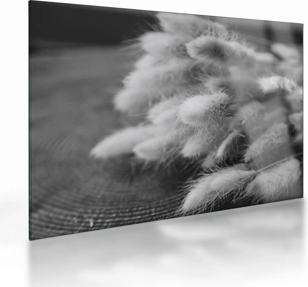 Sklenený obraz - bunny tail grass na stole (70x50 cm)