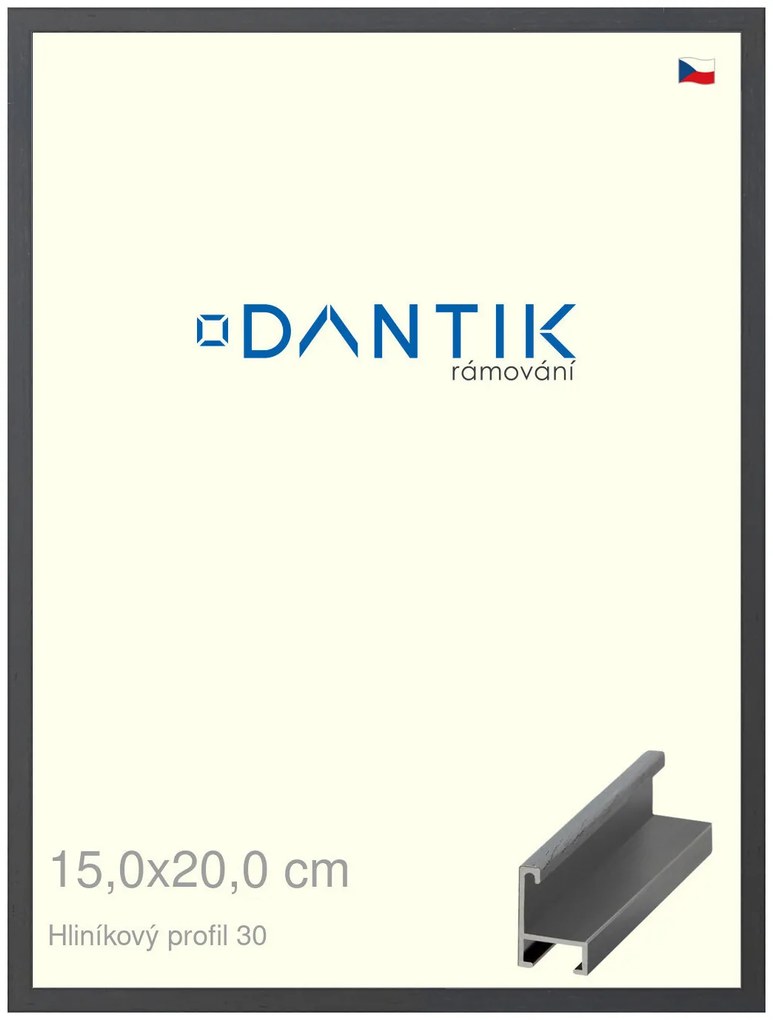 DANTIK rám na obraz 15x20 | ALU Dýha barevná šedá tmavá (Sklo Čiré)
