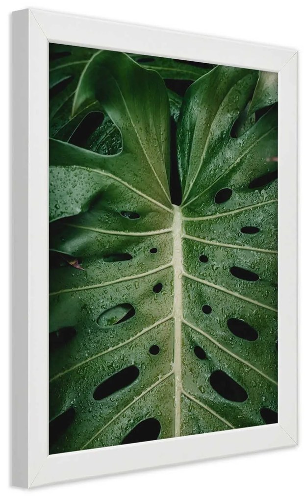 Gario Plagát List ikonickej monstery Farba rámu: Bez rámu, Rozmery: 20 x 30 cm