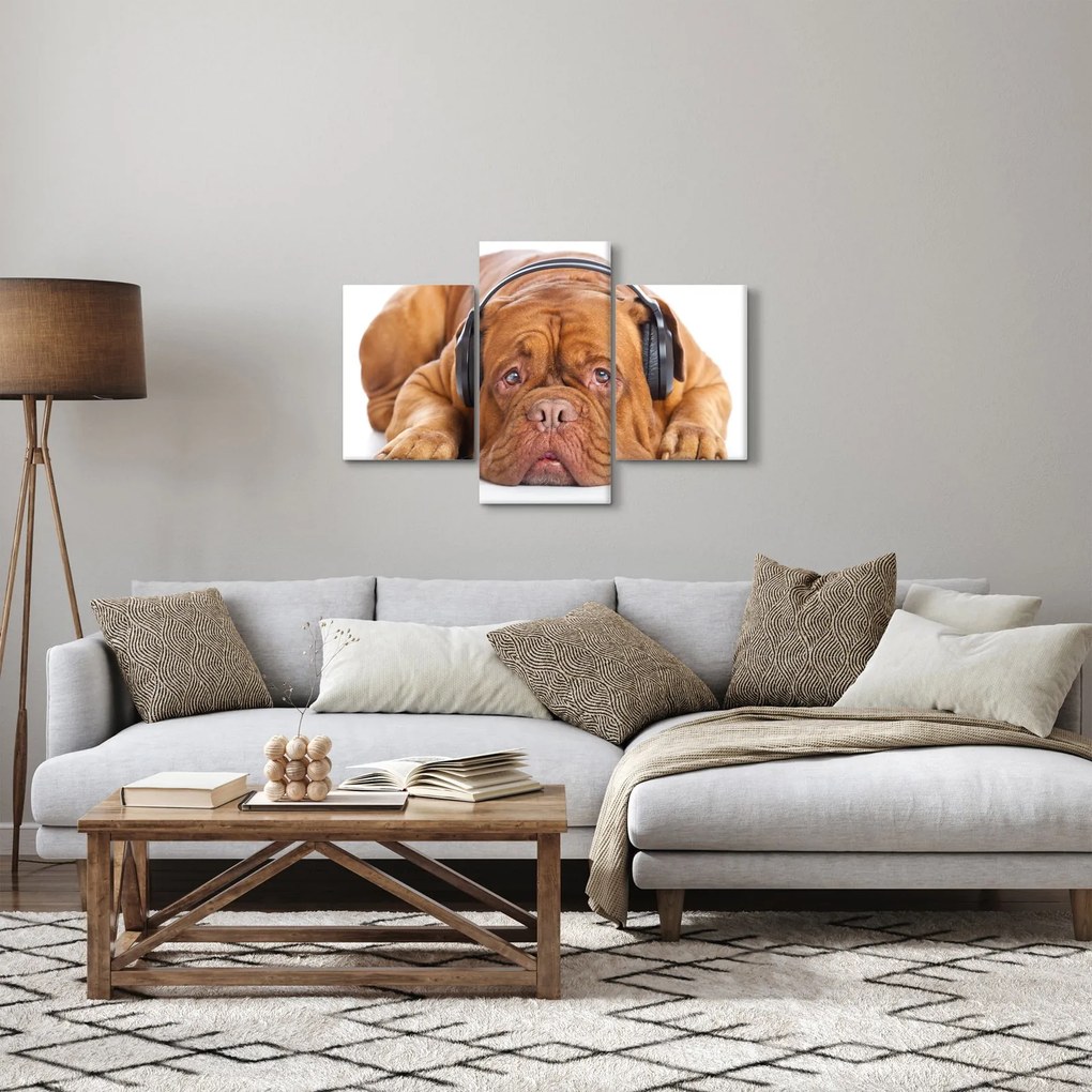 Obraz psa so slúchadlami (90x60 cm)