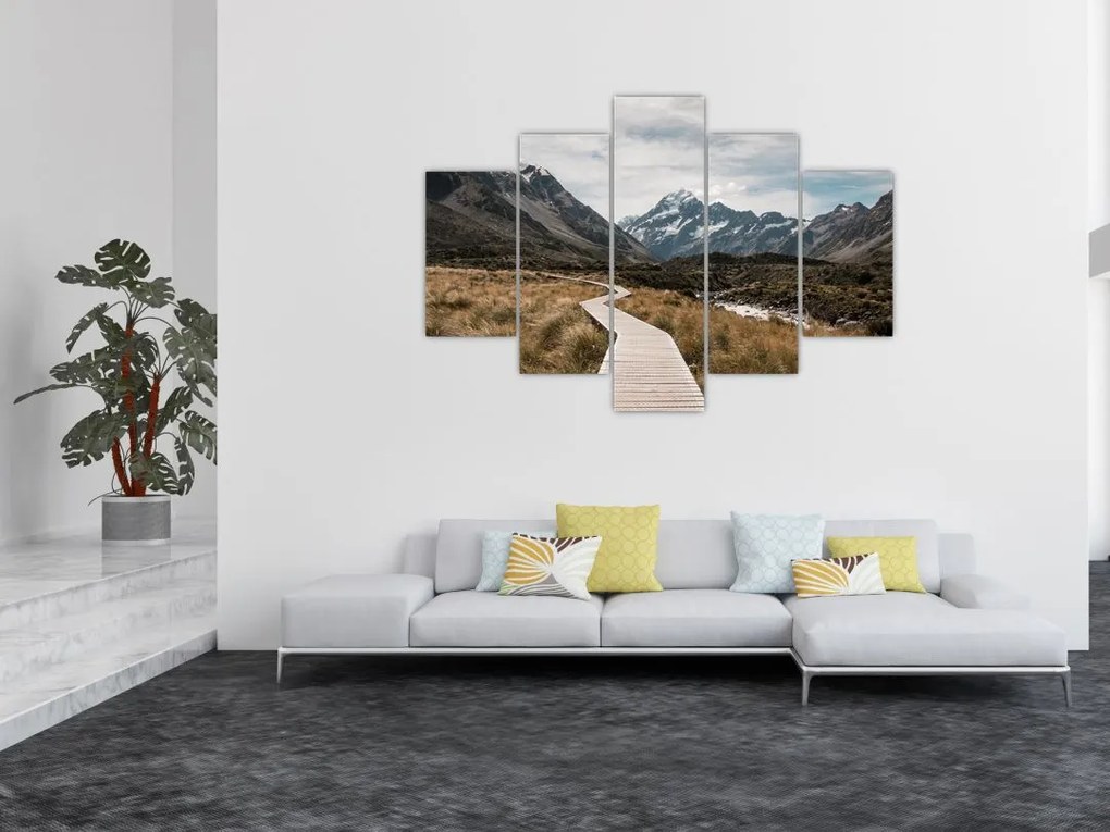 Obraz - Chodník v údolí hory Mt. Cook (150x105 cm)