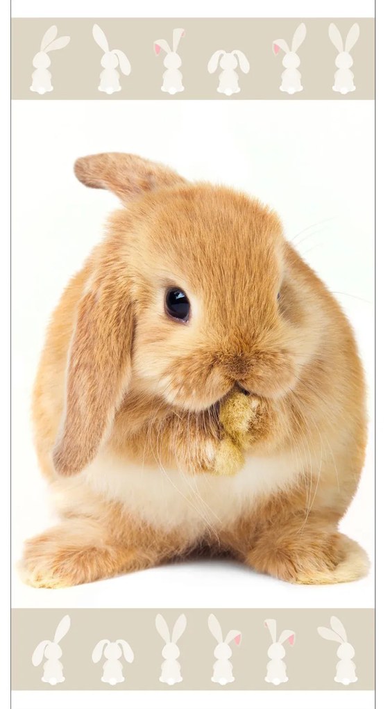 DETSKÝ BAVLNENÝ UTERÁK BUNNY 70X140 CM VZOROVANÁ