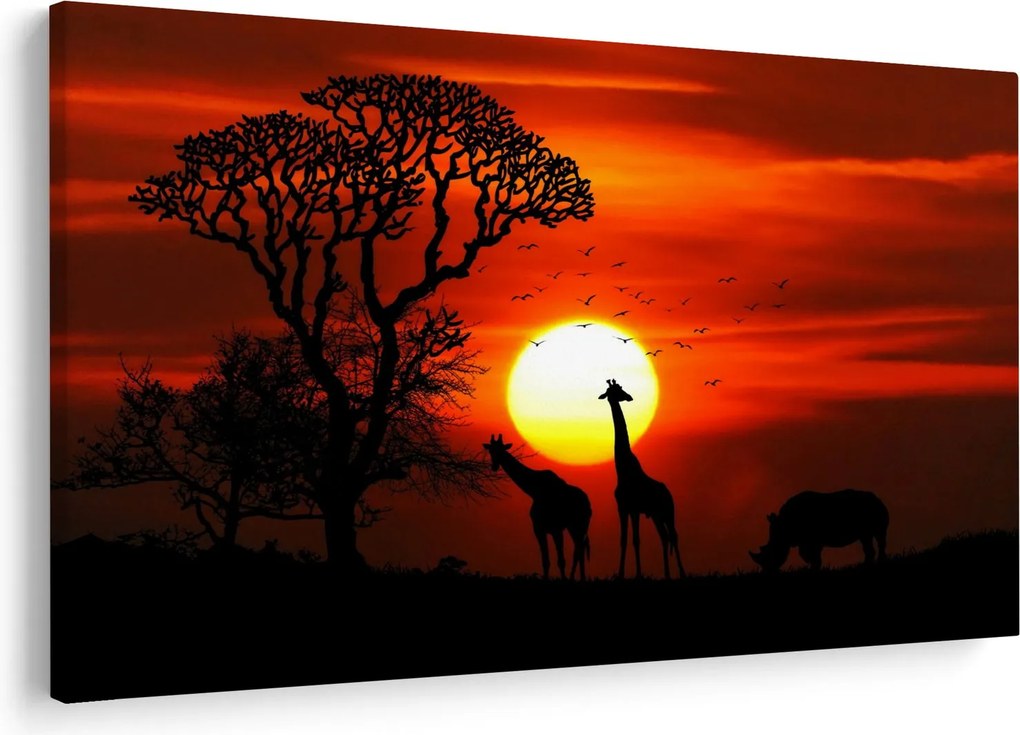 Obraz - Siluety zvierat pri západe slnka (90x60 cm)